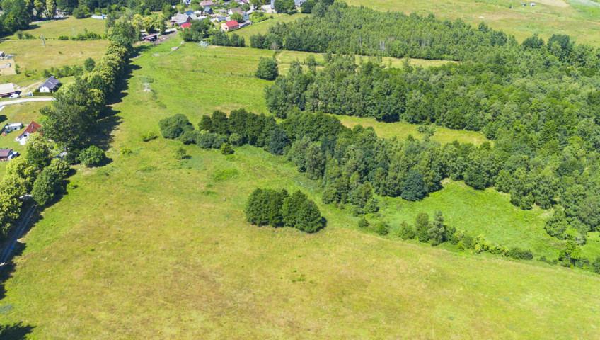 Działka Sprzedaż Kołczewo Osadników Wojskowych